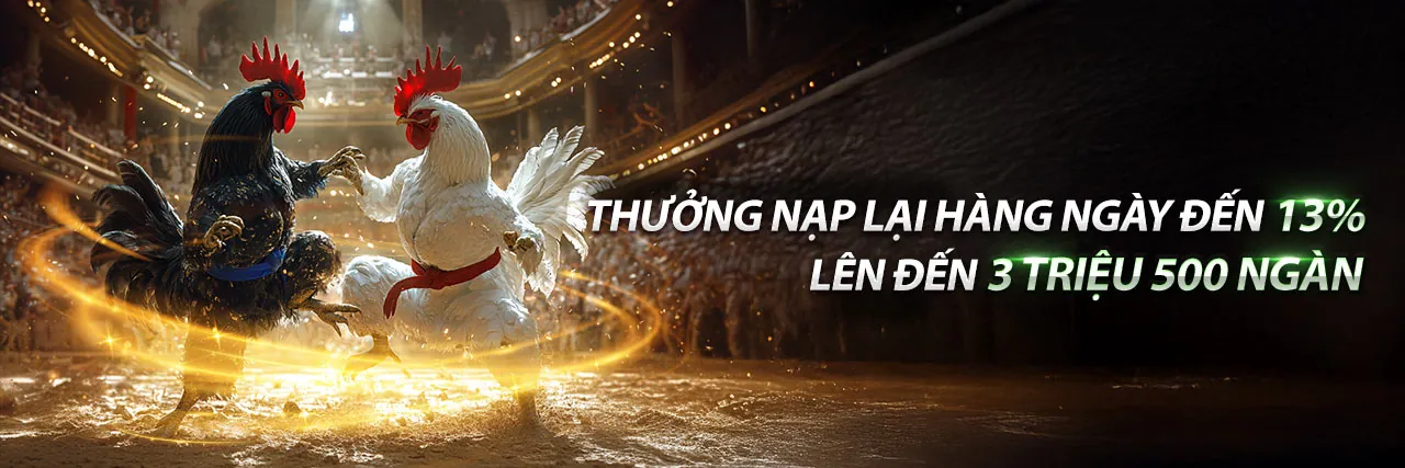 Đá Gà Trực Tuyến goo88d nhà cái